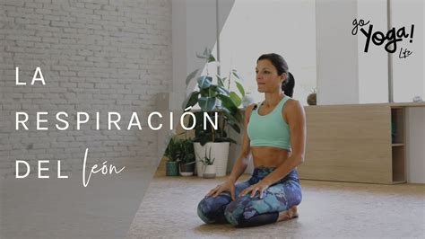 Respiraci N Del Le N O C Mo Profundizar En Las Flexiones Hacia Atr S