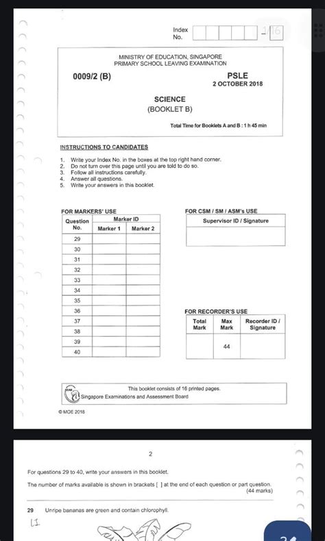 Psle Past Year Paper Softcopy All Subjects Including Higher