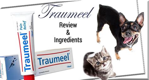 Traumeel Review & Ingredients | EntirelyPets