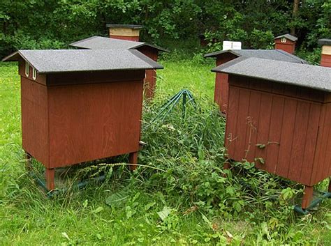 Apiary - Wikimedia Commons