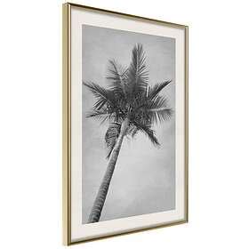 Artgeist Poster Affisch High Palm Tree Poster 40x60 A3 DRBPRP0522l Zr