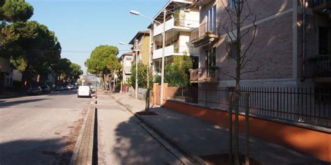 Vicenza Nuovi Alberi In Via Rossini Entro La Primavera