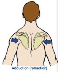 How To Properly Permanently Resolve Scapular Dyskinesis