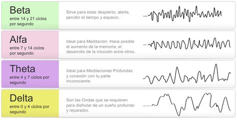 Estados De Actividad Cerebral Sue O Ondas Cerebrales Mind Map