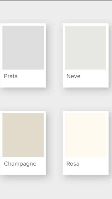 Paleta De Cores Branco - Paleta De Cores Com Branco