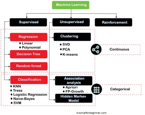 Machine Learning Algorithms | tutorialforbeginner.com