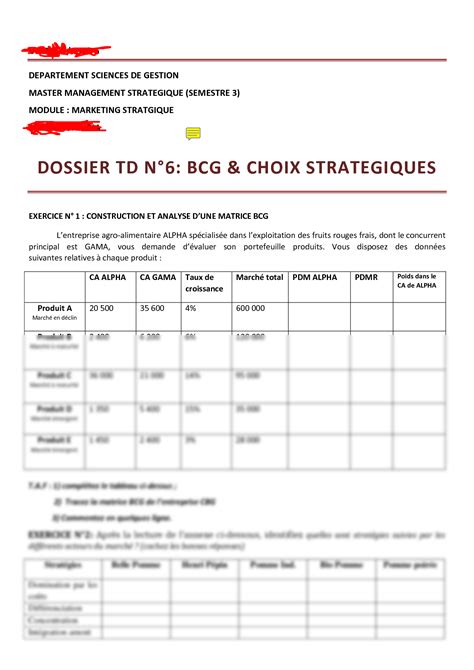 SOLUTION Marketing Strat Dossier Td N 6 Bcg Et Choix Strat Giques