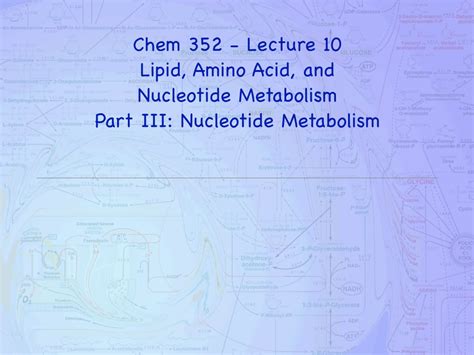 Chem 352 Lecture 10 Lipid Amino Acid And Nucleotide Metabolism Part