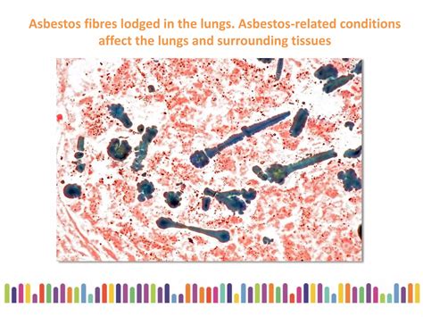 Asbestos Awareness Ppt