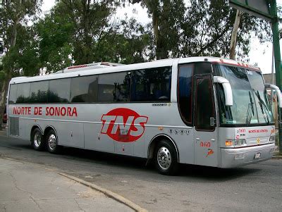 Autobuses Norte De Sonora Tel Fonos Horarios Y Destinos