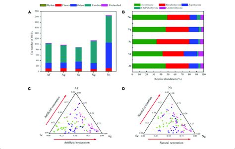 The Number Of Otus And Relative Abundances Of Fungal Phyla Among