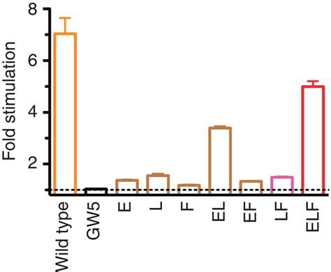 Mutational Analysis Of Ntsr1 For Activation Of G Protein Download