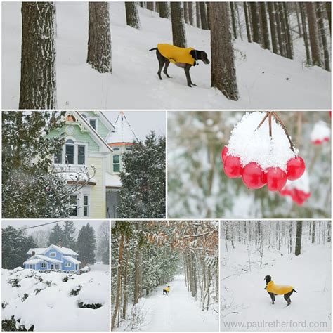 Why I love Northern Michigan Winters and why you should too Petoskey