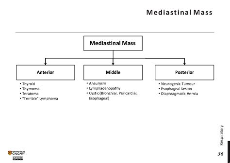 MEDIASTINAL MASS - Blackbook : Blackbook