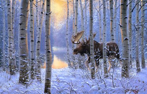 Moose Winter Wallpapers - Wallpaper Cave