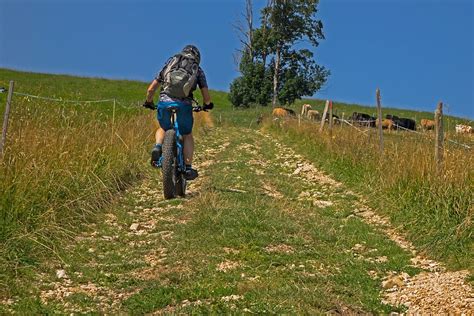 Mountainbike Wanderweg Fahrrad Kostenloses Foto Auf Pixabay