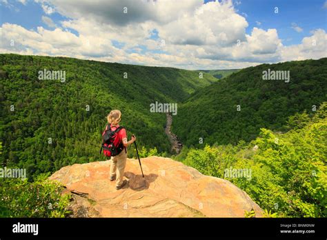 Hiker Looks Into Blackwater River Canyon From Pendleton Point Overlook