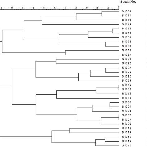 Dendrogram Of Pfge Patterns In Salmonella Infantis Isolates In Japan By