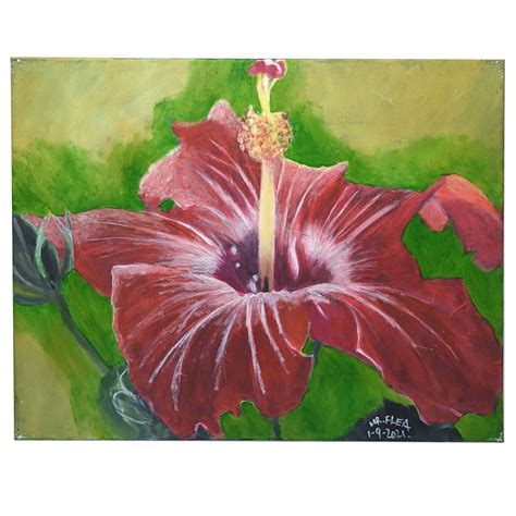 Hibiscus Flower Painting Acrylic