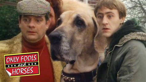 Giving The Dogs Medication To Uncle Albert Only Fools And Horses