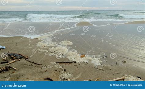 Vertido De Desechos Qu Micos De Espuma Marina Contaminada Por