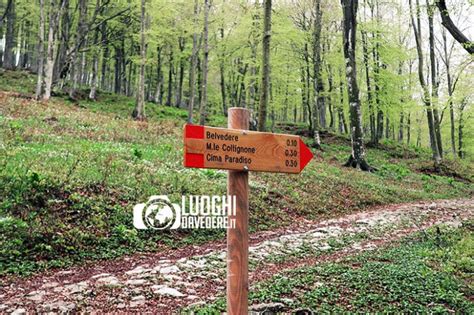 Escursione Ai Piani Dei Resinelli Come Arrivare Alla Passerella