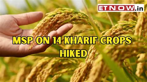 MSP For 14 Kharif Crops For 2024 25 HIKED Paddy Jowar Bajra Tur