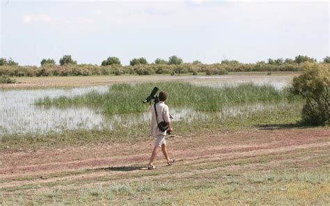 Birds Watching Safari Danube Delta