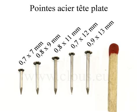 Clouterie Rivierre Pointe Miniature Tête plate Acier 30g clous eu