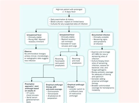 Example Of Initial Management Of A Patient Suffering From Febrile