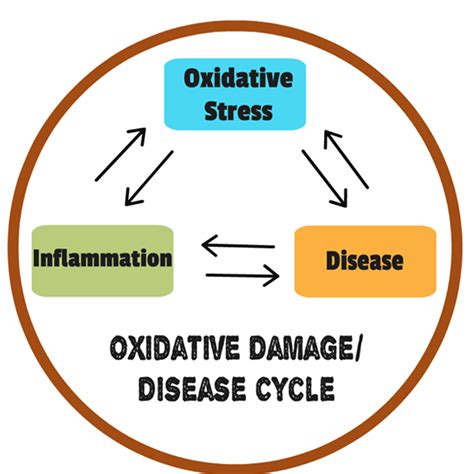 WHAT IS OXIDATIVE STRESS | Multiple Sclerosis MS Health Coaching | Identity of M