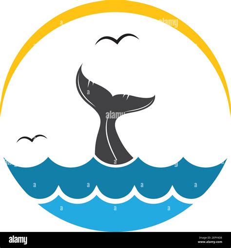 Whale Fin Logo Icon Royalty Free Vector Image Vectorstock Atelier