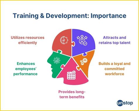 9 Difference Between Training And Development Unstop