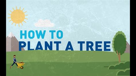 How To Plant A Tree Youtube