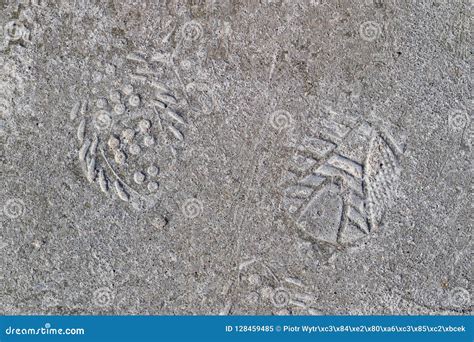 The Footprint Of A Sports Shoe Imprinted In Concrete An Imprint Stock