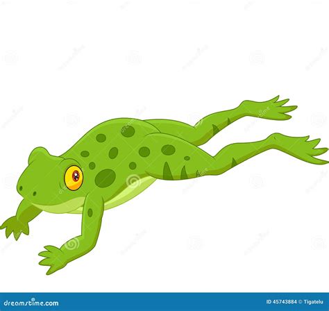 Cute Frog Cartoon Jumping Stock Vector Illustration Of Small 45743884