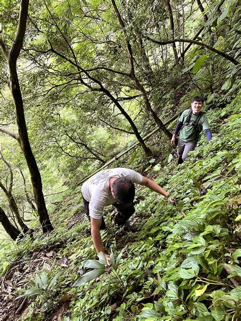 花林管處整修佐倉步道公廁 中華日報中華新聞雲