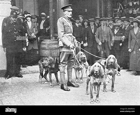 Le Major Edwin Hauteville Richardson Officier De L Arm E Et C L Bre