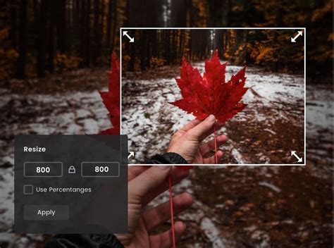 Resize Image Pixels Online Free This Tool Can Scale Various Common