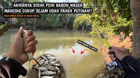 Spot Gila Cukup Sejam Udah Panen Wader Mancing Wader Pakai Teknik