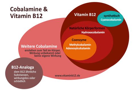 Vitamin B12 Wichtige Fragen Im Überblick