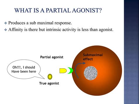 Pharmacokinetic And Pharmacodynamic Modeling Ppt