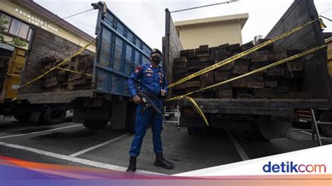 Polisi Bongkar Kasus Illegal Logging Di Palembang