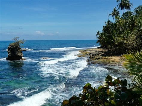 Gandoca - Manzanillo Wildlife Refuge (Province of Limon) - 2021 All You ...