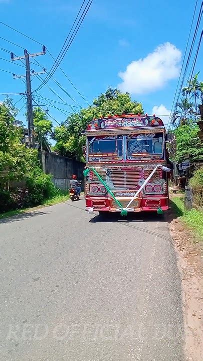 Kca පෙරඩ් එකට ආපු මායා කිරිල්ලි💖කොහොමද එයාගේ හැඩ New Videos Shorts