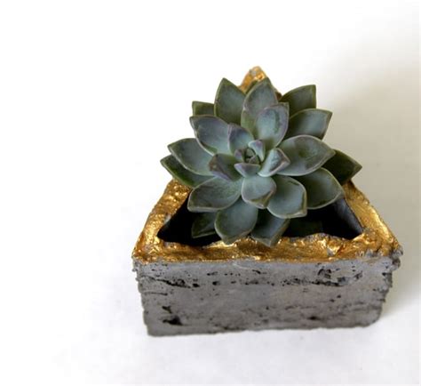 DIY: Make Concrete Planters - A Piece Of Rainbow