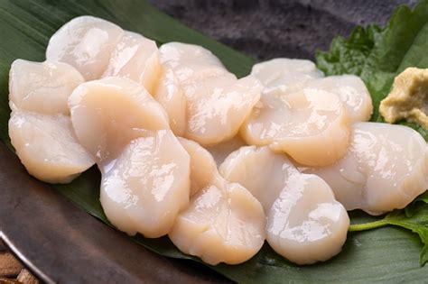 Hotate Kaibashira Stock Photo Download Image Now Food Scallop