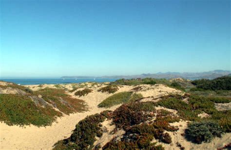 Morro Dunes RV Park - Morro Bay : Rates, photos and reviews