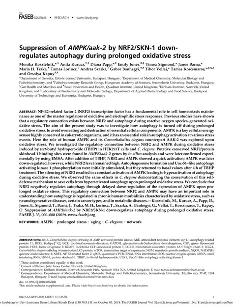 Pdf Suppression Of Ampk Aak By Nrf Skn Down Regulates Autophagy