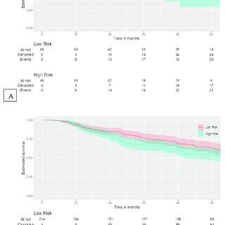 Kaplan Meier Curves For External Validation Of The Gene Signature